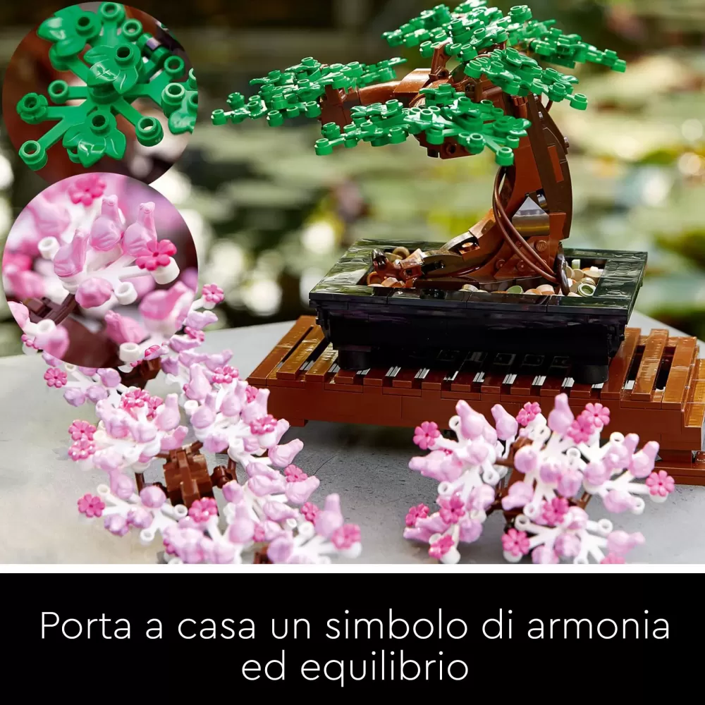 Sale Albero Bonsai 10281 Mattoncini