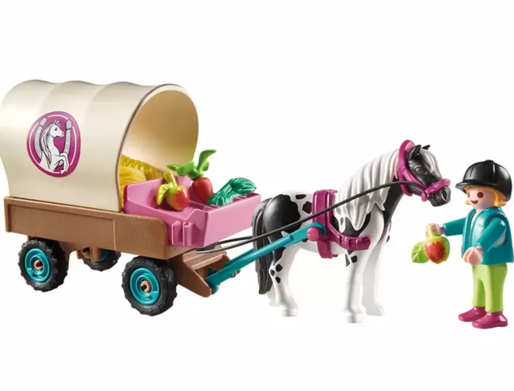 Store Carrozza Con Pony Set Costruzioni