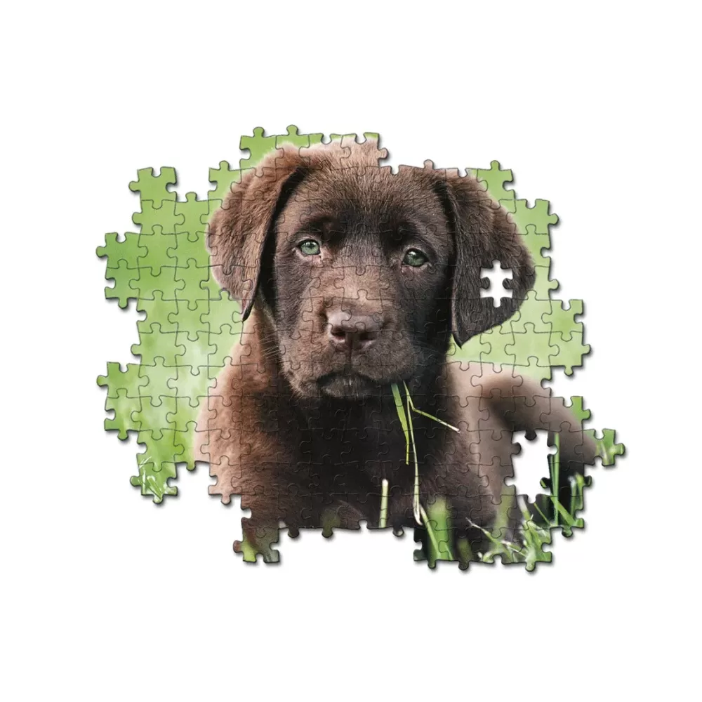 Hot 35072 Puzzle 500 Chocolate Puppy 49 X 36 Cm Puzzle 500 Pezzi