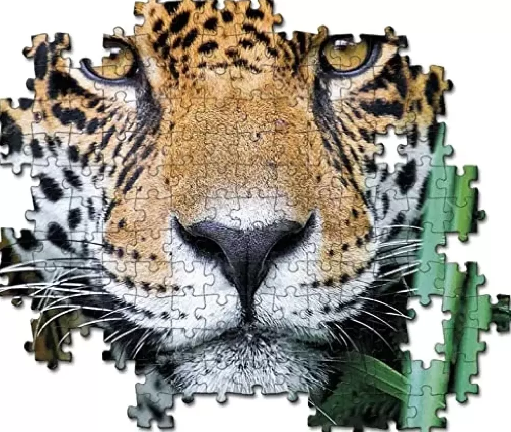 Fashion High Quality Collection Puzzle Jaguar In The Jungle 500 Pezzi Puzzle 500 Pezzi