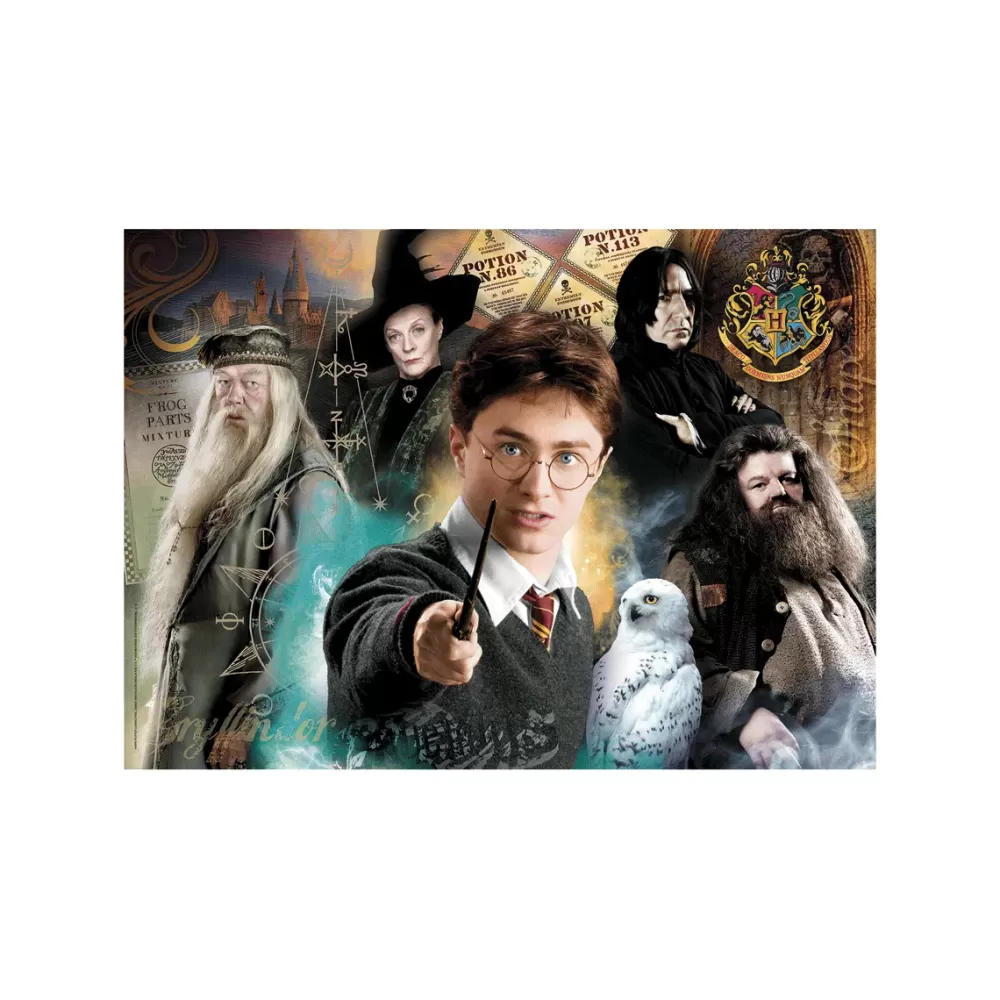 Store Puzzle Harry Potter 500 Pezzi, Puzzle Adulti Puzzle 500 Pezzi