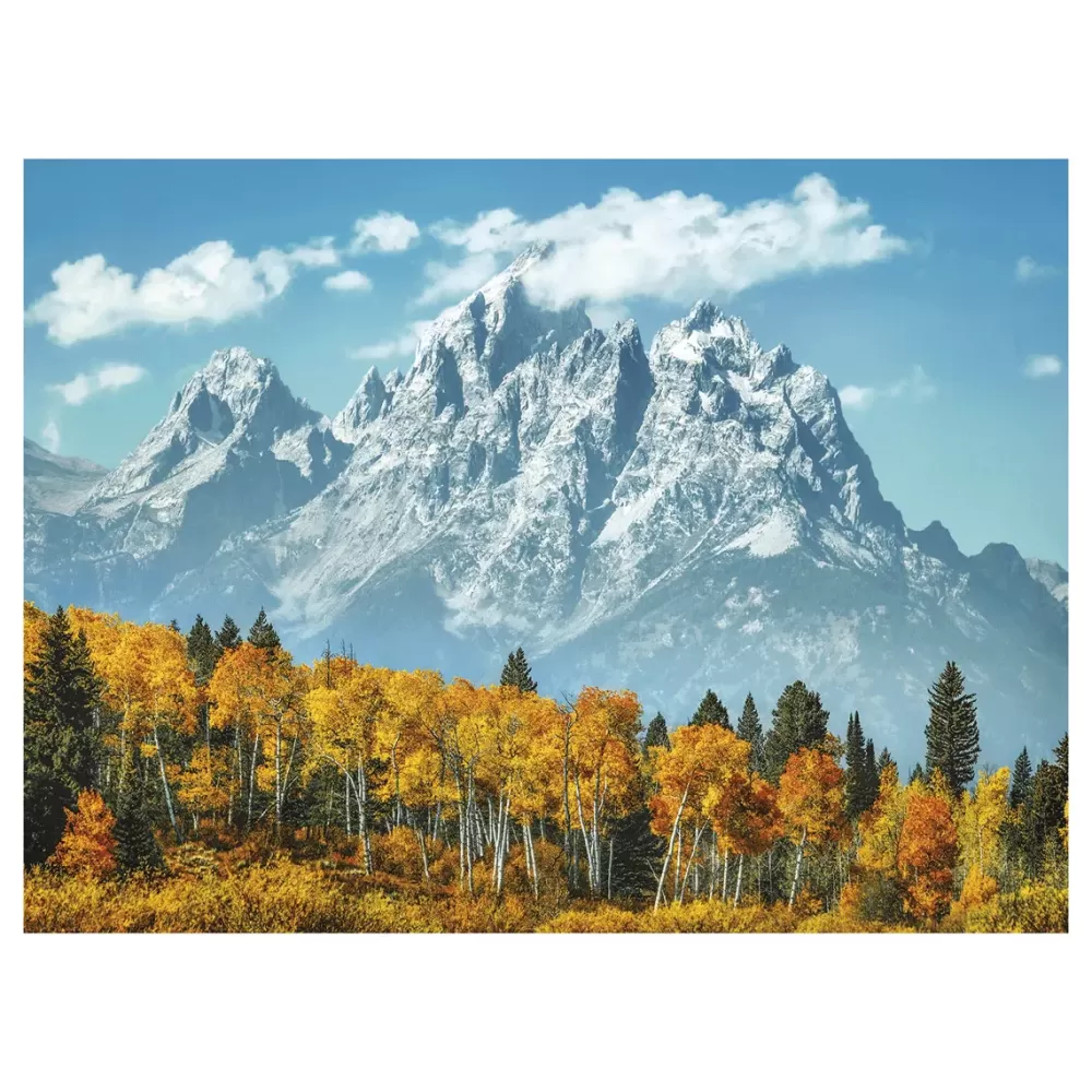Fashion Puzzle High Quality Collection Grand Teton In Fall 500 Pezzi, Puzzle Adulti Puzzle 500 Pezzi