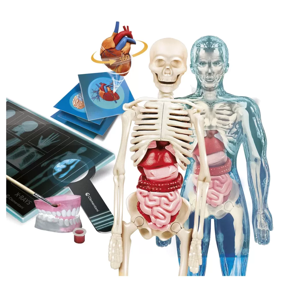 Cheap Clementoni Lab Anatomia Super, Laboratorio Scientifico Giochi Scientifici