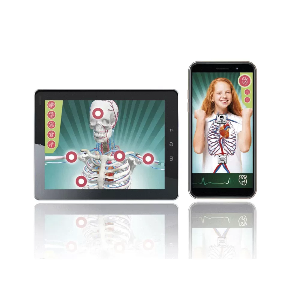 Cheap Clementoni Lab Anatomia Super, Laboratorio Scientifico Giochi Scientifici