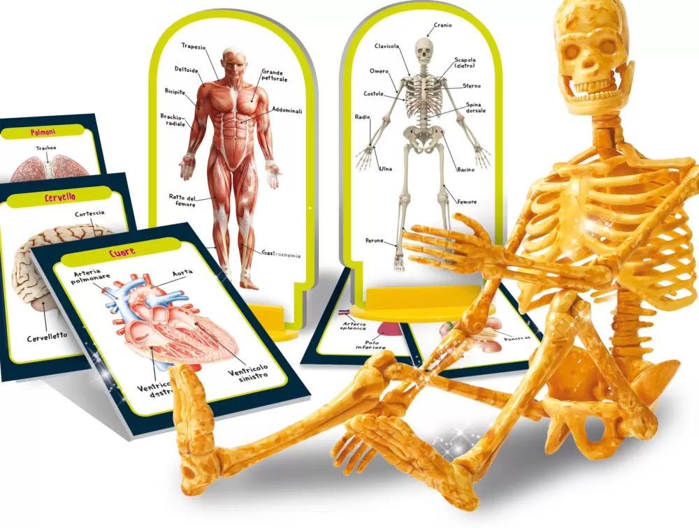 Best I'M A Genius Scopri Il Corpo Umano Giochi Scientifici