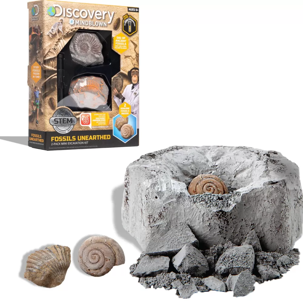 Hot Kit Paleontologo Con 2 Mini Fossili Giochi Stem