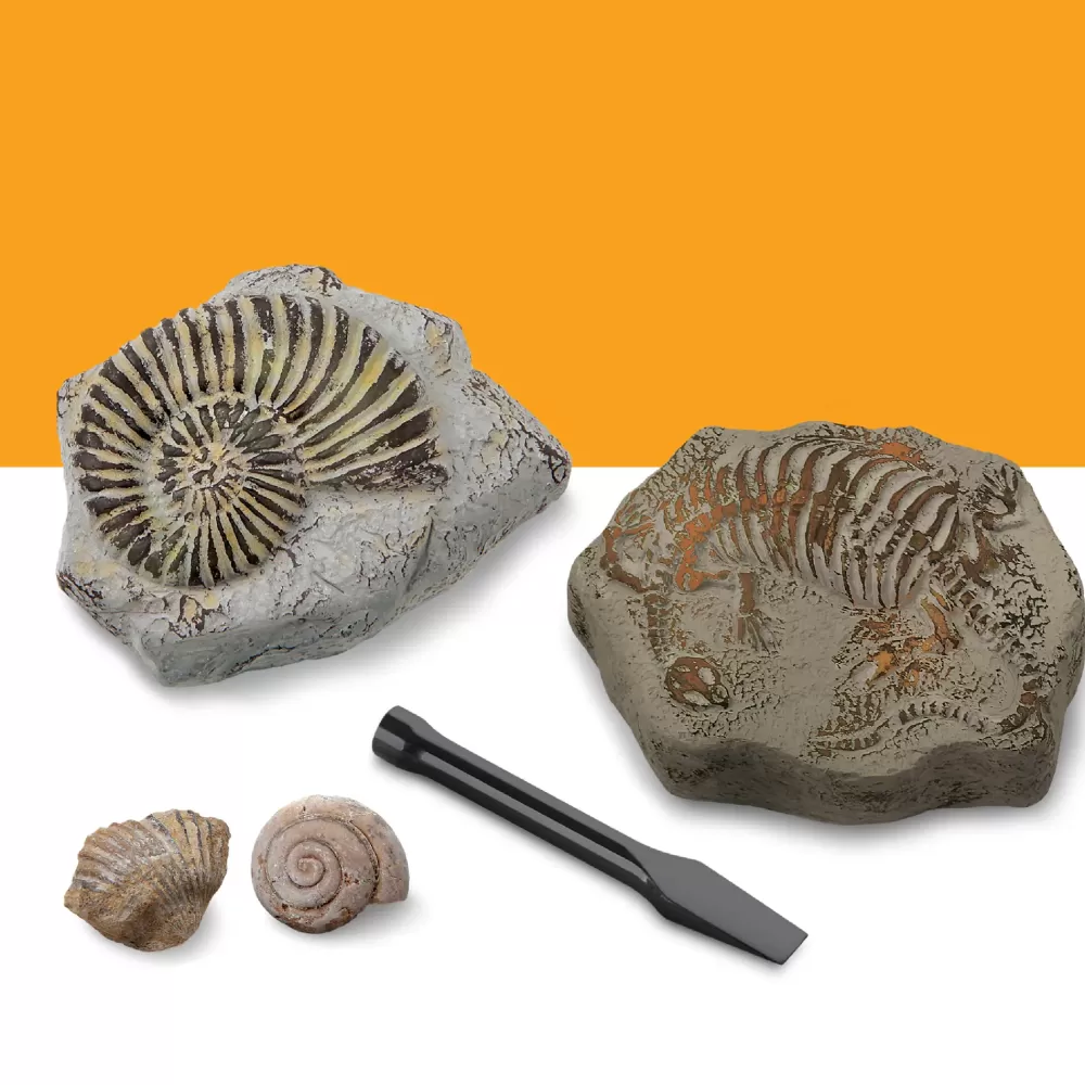 Hot Kit Paleontologo Con 2 Mini Fossili Giochi Stem