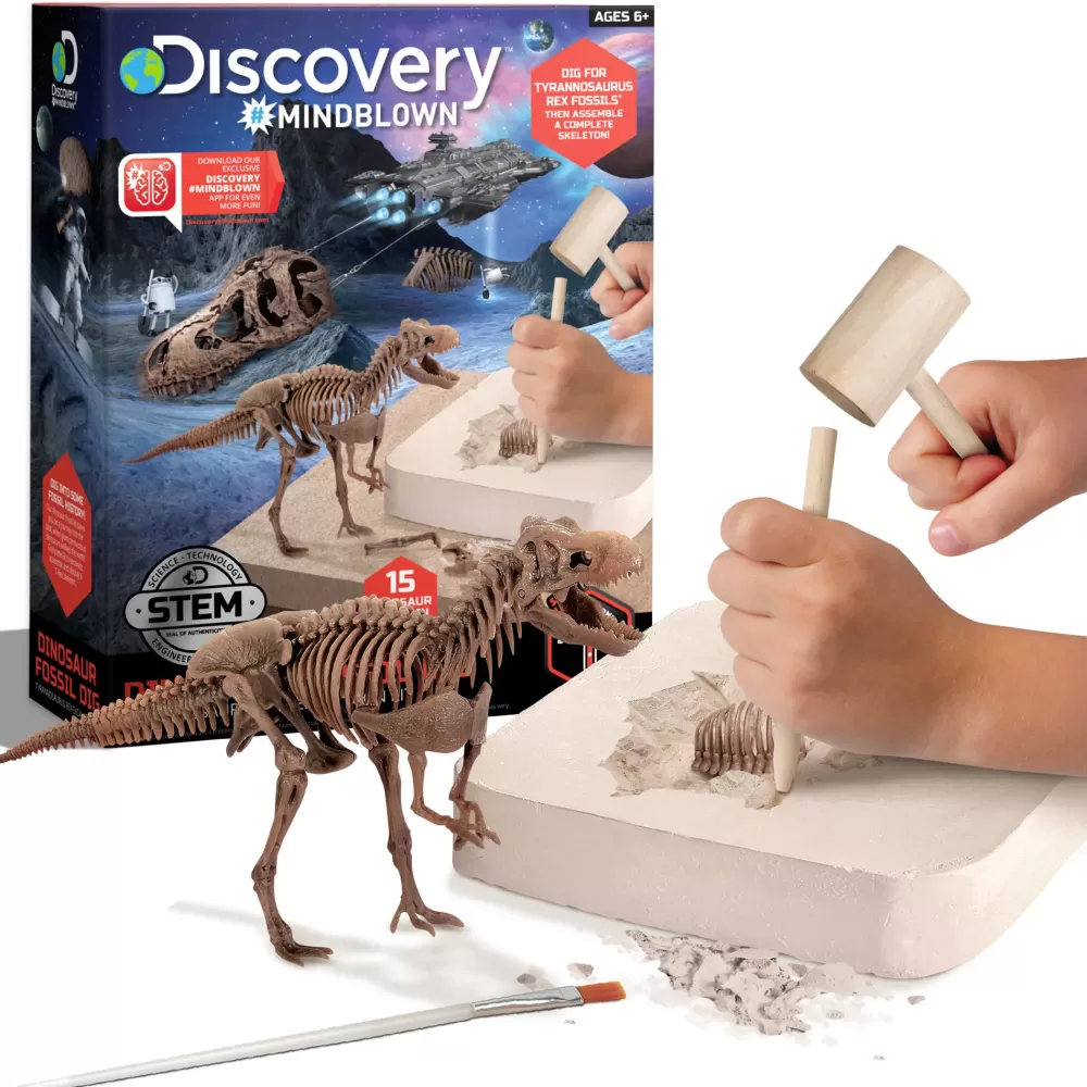 Hot Kit Paleontologo Con Scheletro T-Rex 3D Giochi Stem