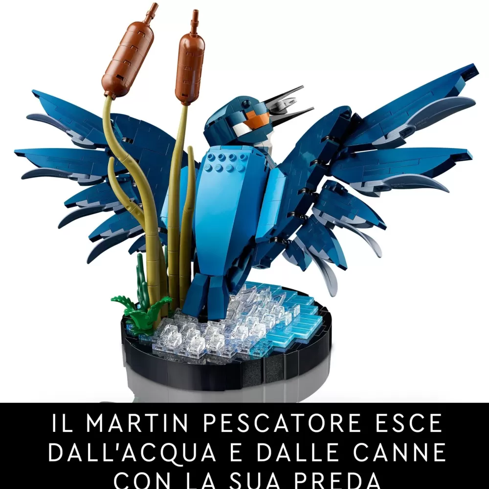 Cheap Icons 10331 Martin Pescatore, Kit Di Modellismo Per Adulti, Idea Regalo Per Arredamento Casa O Ufficio, Hobby Creativo Mattoncini