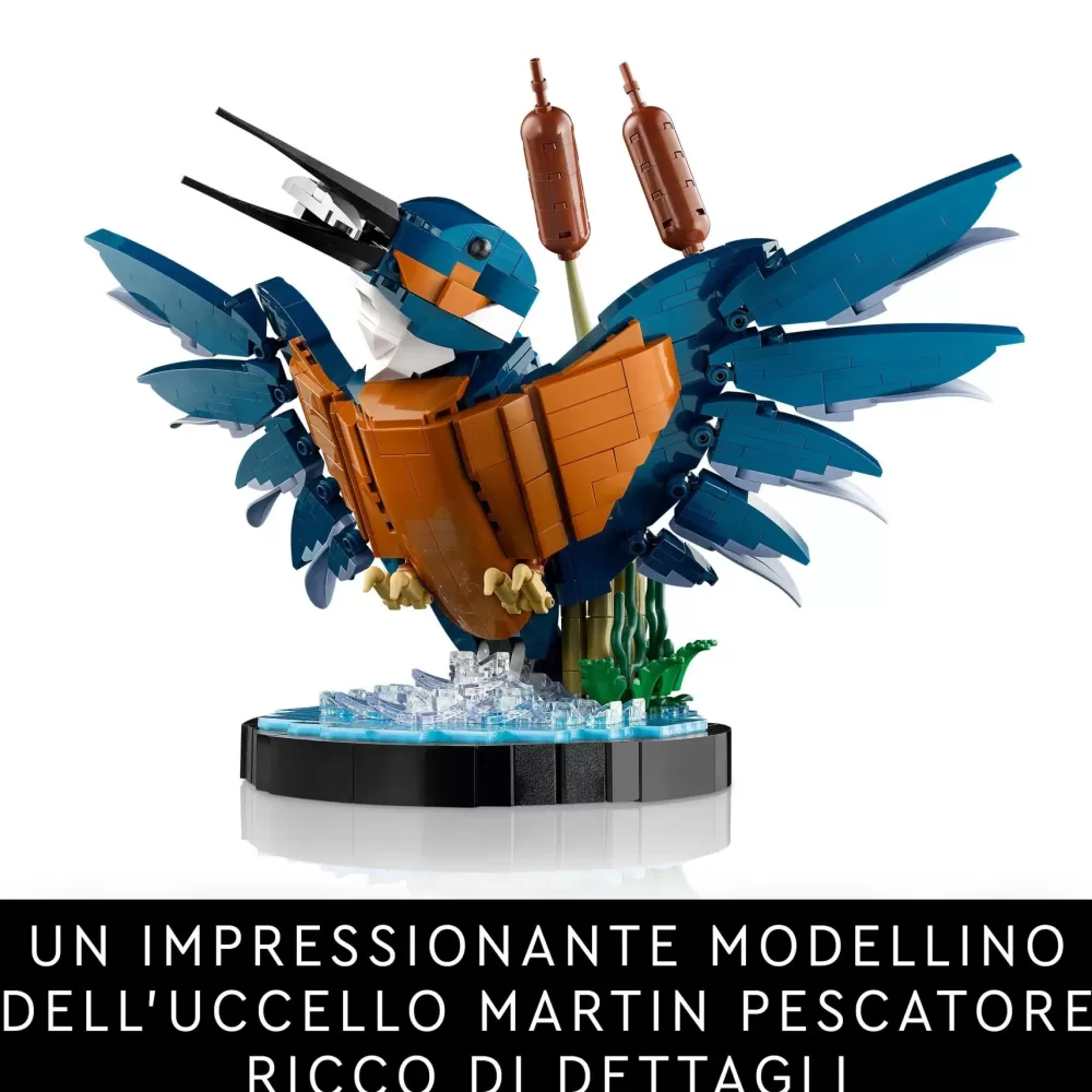 Cheap Icons 10331 Martin Pescatore, Kit Di Modellismo Per Adulti, Idea Regalo Per Arredamento Casa O Ufficio, Hobby Creativo Mattoncini