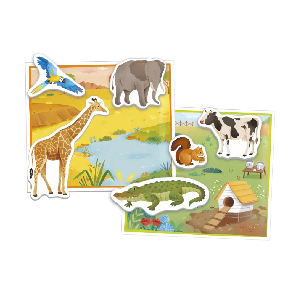 Best Montessori Gli Animali Giochi Natura