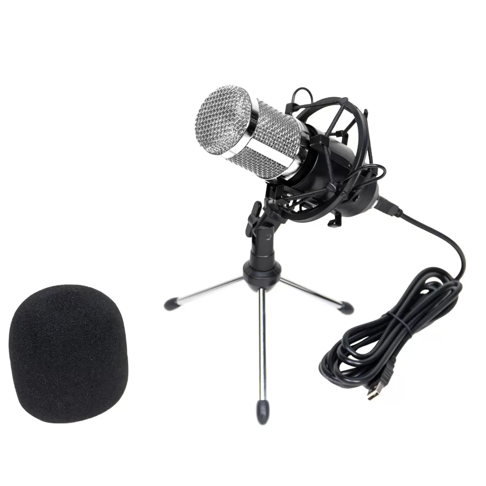 Fashion Professional Microphone Tablet E Giochi Interattivi